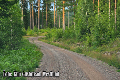 © Kim Gustafsson Westlund.