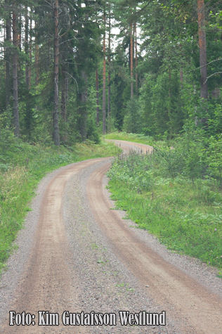 © Kim Gustafsson Westlund.