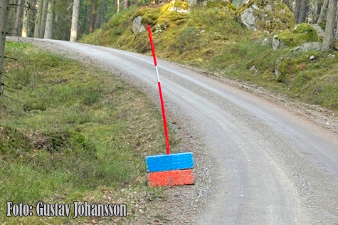 © Gustav Johansson.